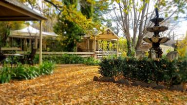 House For Sale - SA - Hahndorf - 5245 - Five properties on one title! No strata, FREEHOLD  (Image 2)