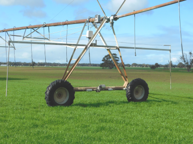 Mixed Farming For Sale - SA - Bordertown - 5268 - Intensive Irrigation / Mixed Farming  (Image 2)