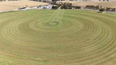 Mixed Farming For Sale - SA - Bordertown - 5268 - Intensive Irrigation / Mixed Farming  (Image 2)