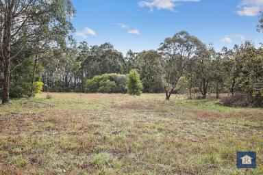 Lifestyle Sold - VIC - Barongarook - 3249 - The Otways await...  (Image 2)