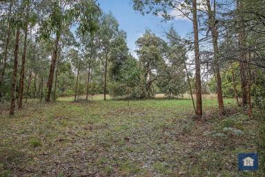 Lifestyle Sold - VIC - Barongarook - 3249 - The Otways await...  (Image 2)