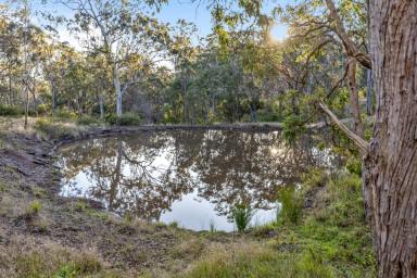 Lifestyle Sold - QLD - Upper Pilton - 4361 - Secluded Bush Getaway  (Image 2)