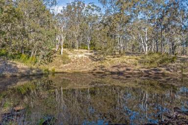 Lifestyle Sold - QLD - Upper Pilton - 4361 - Secluded Bush Getaway  (Image 2)
