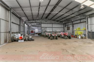 Industrial/Warehouse For Sale - WA - Collie - 6225 - DO THE SUMS?  (Image 2)
