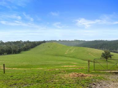 Livestock For Sale - VIC - Heathcote Junction - 3758 - BREATHTAKING FARMLAND WITH FUTURE RESIDENTIAL SUBDIVISION POTENTIAL (S.T.C.A)  (Image 2)