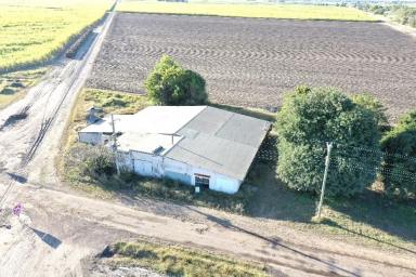 Other (Rural) For Sale - QLD - Osborne - 4806 - Queenslander and Large 970m2 Shed on 5526m2 Block  (Image 2)