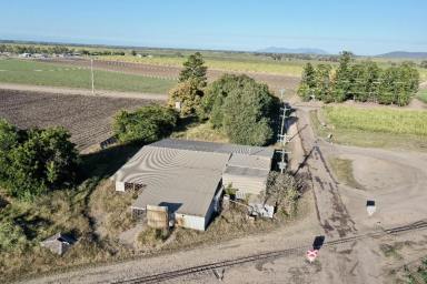 Other (Rural) For Sale - QLD - Osborne - 4806 - Queenslander and Large 970m2 Shed on 5526m2 Block  (Image 2)