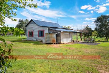 House For Sale - WA - Donnybrook - 6239 - THE HORSE COMMUNITY IS CALLING! IDEAL PROPERTY IN THE PERFECT LOCATION  (Image 2)