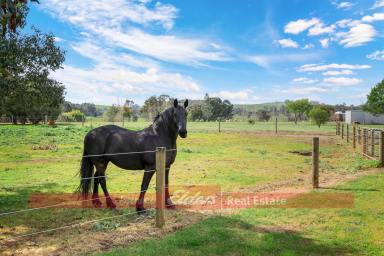 House For Sale - WA - Donnybrook - 6239 - THE HORSE COMMUNITY IS CALLING! IDEAL PROPERTY IN THE PERFECT LOCATION  (Image 2)