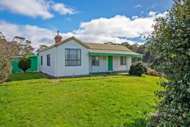 House For Sale - TAS - Forest - 7330 - Lifestyle property on over 5 acres!  (Image 2)