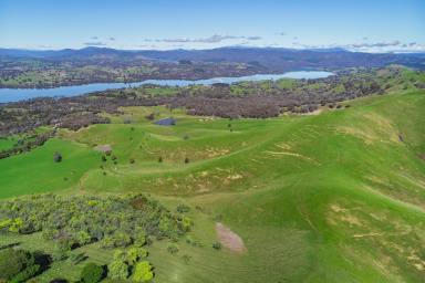 Residential Block For Sale - VIC - Mansfield - 3722 - STUNNING LAKE AND MOUNTAIN VIEWS  (Image 2)