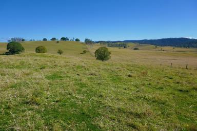 Mixed Farming For Sale - NSW - Kyogle - 2474 - 360 DEGREE VIEWS  (Image 2)