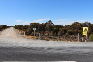Cropping For Sale - SA - Pinnaroo - 5304 - For Sale Taking Offers Above 7.5 Million  (Image 2)