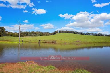Cropping For Sale - WA - Balingup - 6253 - GREAT OPPORTUNITY WITH PLENTY OF POTENTIAL  (Image 2)