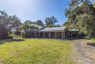 Acreage/Semi-rural For Sale - NSW - Homeleigh - 2474 - LARGE FAMLY HOME ON A  MANAGEABLE PARCEL OF LAND  (Image 2)