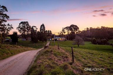 House For Sale - TAS - Wynyard - 7325 - Your Private Country Oasis!  (Image 2)