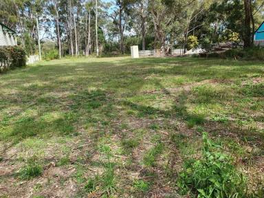 Residential Block Sold - QLD - Russell Island - 4184 - Local Centre Commercial Block - Your Business And New Home Awaits  (Image 2)