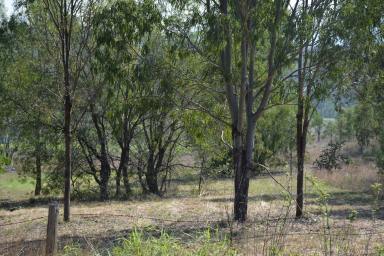 Residential Block For Sale - QLD - Mount Perry - 4671 - Perfect Weekender or Build Your New Home  (Image 2)