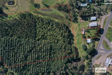 Acreage/Semi-rural For Sale - VIC - Woodside - 3874 - Plenty of Options right in the centre of town!  (Image 2)
