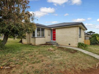 House Leased - TAS - East Devonport - 7310 - Brand New Interior  (Image 2)