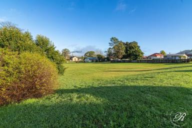 Residential Block For Sale - NSW - Stroud - 2425 - St Quen Court – Stroud NSW  (Image 2)