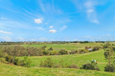 Residential Block For Sale - VIC - Bairnsdale - 3875 - Looking for Rural Views?  (Image 2)