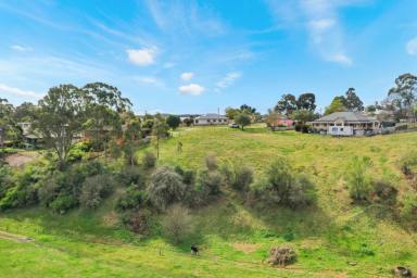 Residential Block For Sale - VIC - Bairnsdale - 3875 - Looking for Rural Views?  (Image 2)