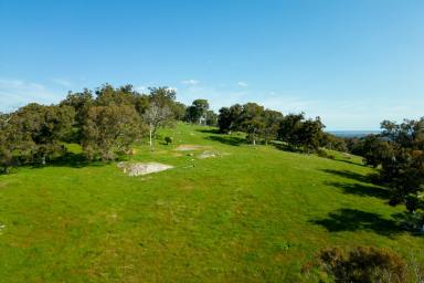 Residential Block Sold - WA - North Dandalup - 6207 - Private hilltop setting, river frontage & views  (Image 2)