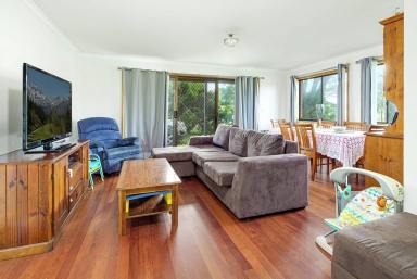 House For Sale - NSW - Surf Beach - 2536 - Ticks all the boxes  (Image 2)