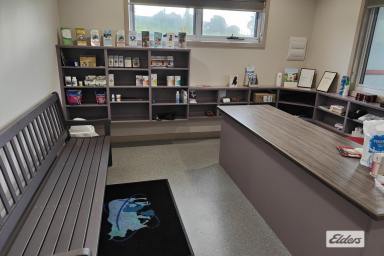 Medical/Consulting For Sale - TAS - Currie - 7256 - ANIMAL HOSPITAL & VETERINARY BUSINESS  (Image 2)