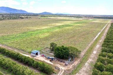 Other (Rural) For Sale - QLD - Horseshoe Lagoon - 4809 - 150 Acre Improved Pasture Grazing Property - Carry up to 200 Head  (Image 2)