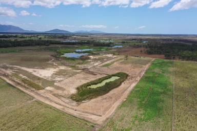 Other (Rural) For Sale - QLD - Horseshoe Lagoon - 4809 - 150 Acre Improved Pasture Grazing Property - Carry up to 200 Head  (Image 2)
