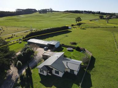 Acreage/Semi-rural Sold - TAS - Irishtown - 7330 - Country Lifestyle! - 4 bedroom farmhouse, large shed & 8 acres  (Image 2)