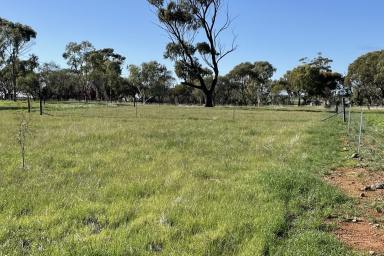 Residential Block For Sale - WA - Quairading - 6383 - Welcome to the Wheatbelt  (Image 2)