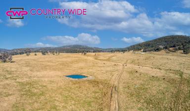 Mixed Farming For Sale - NSW - Dundee - 2370 - 12 Mile  (Image 2)
