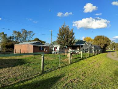 House For Sale - QLD - Leyburn - 4365 - A HOME AMONG THE GUMTREES, GENERAL STORE OUT FRONT  (Image 2)