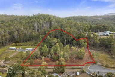 Residential Block Sold - TAS - Surges Bay - 7116 - Price Reduced!  (Image 2)
