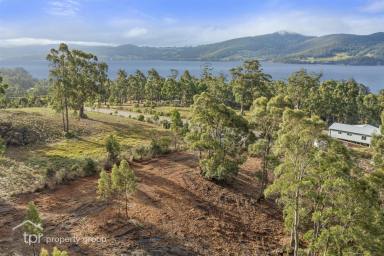 Residential Block Sold - TAS - Surges Bay - 7116 - Price Reduced!  (Image 2)