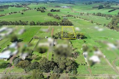 Residential Block For Sale - VIC - Cobden - 3266 - Cobden Is Calling  (Image 2)