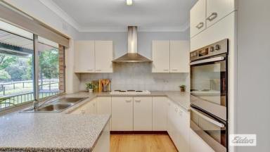 House For Lease - NSW - Moorland - 2443 - RURAL HOME CLOSE TO COAST & TOWN  (Image 2)