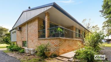 House For Lease - NSW - Moorland - 2443 - RURAL HOME CLOSE TO COAST & TOWN  (Image 2)