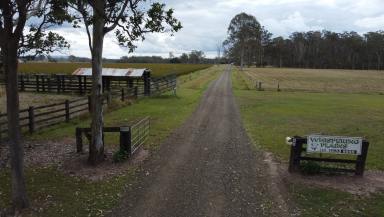 Cropping For Sale - NSW - Leeville - 2470 - That Wonderful Cash Flow!  (Image 2)