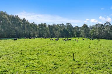 Dairy Sold - VIC - Drouin South - 3818 - Model Dairy Farm, 300 Acres of Next Generation Farming  (Image 2)