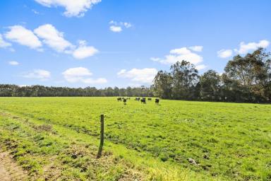 Dairy Sold - VIC - Drouin South - 3818 - Model Dairy Farm, 300 Acres of Next Generation Farming  (Image 2)