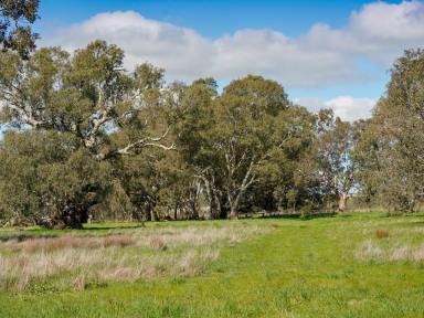 Residential Block For Sale - VIC - Glenthompson - 3293 - WOW - 11.66 Acres inside Town Boundary  (Image 2)