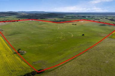 Other (Rural) For Sale - VIC - Evansford - 3371 - "KALIMNA" 176Ha (435 acres) 3 bedroom house, shedding, cropping/grazing, secure water.  (Image 2)