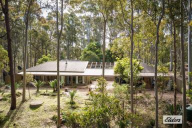 Acreage/Semi-rural For Sale - NSW - Tanja - 2550 - Middle Beach Road Tanja  (Image 2)