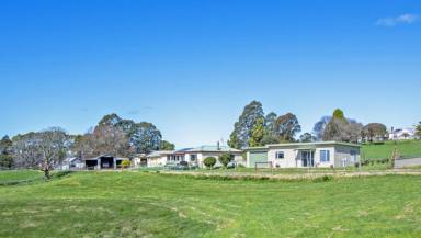 House For Sale - TAS - Natone - 7321 - Country Home + Cottage on 13 Acres of Pasture!  (Image 2)