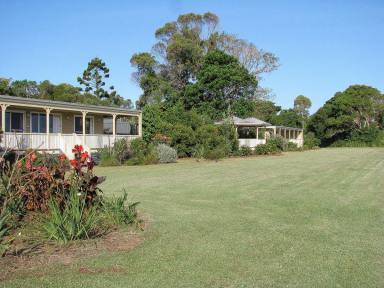 Residential Block For Sale - NSW - Goodwood Island - 2469 - Riverfront Lifestyle 40 Acres  (Image 2)