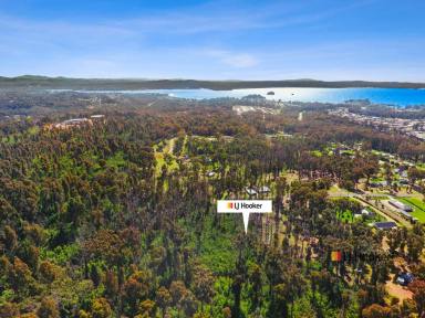 Residential Block For Sale - NSW - Surf Beach - 2536 - Prestige Location!  (Image 2)